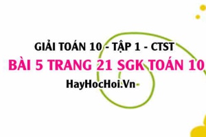 Giải bài 5 trang 21 Toán 10 tập 1 SGK Chân trời sáng tạo